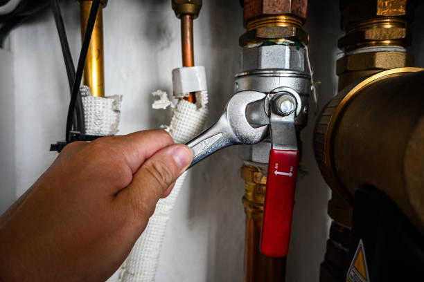 Best Plumbing Inspection Services  in Flatwoods, KY